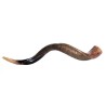 Large Yemenite Kudu Shofar Half Polished Half Na... | Yemenite Shofars