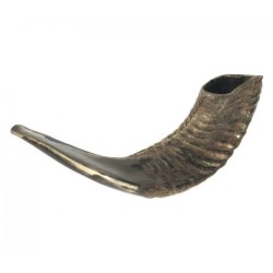 Shofar en corne de bélier noir moyen naturel | Shofars en corne de bélier