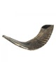 Shofar en corne de bélier noir moyen naturel | Shofars en corne de bélier