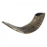 Medium Black Rams Horn Shofar Natural | Rams Horn Shofars