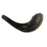 Small Black Rams Horn Shofar Natural | Rams Horn Shofars