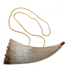 Childrens Real Sheep Horn Shofar with Plastic... | Rosh Hashanah Gifts