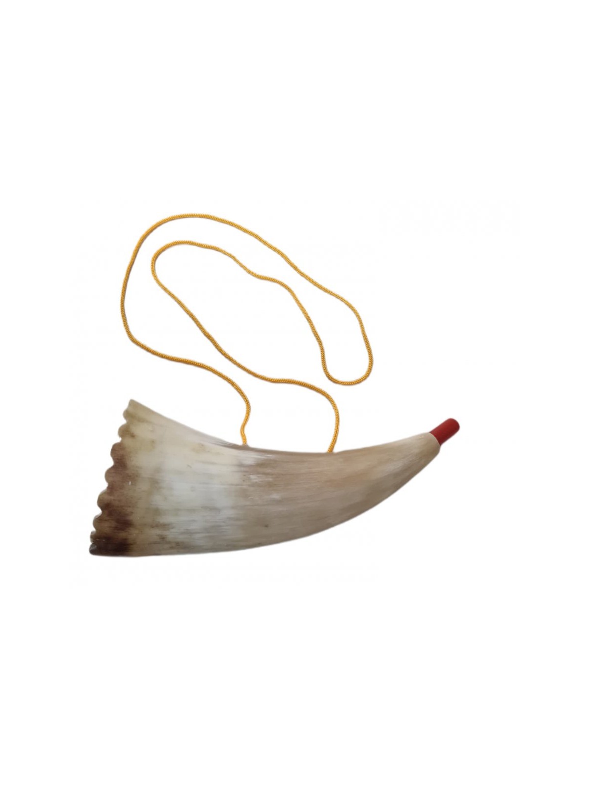 Childrens Real Sheep Horn Shofar with Plastic... | Rosh Hashanah Gifts