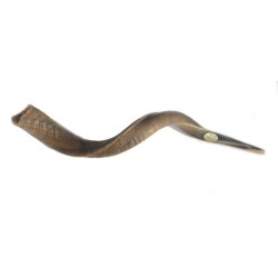 Large Yemenite Natural Shofar | Yemenite Shofars