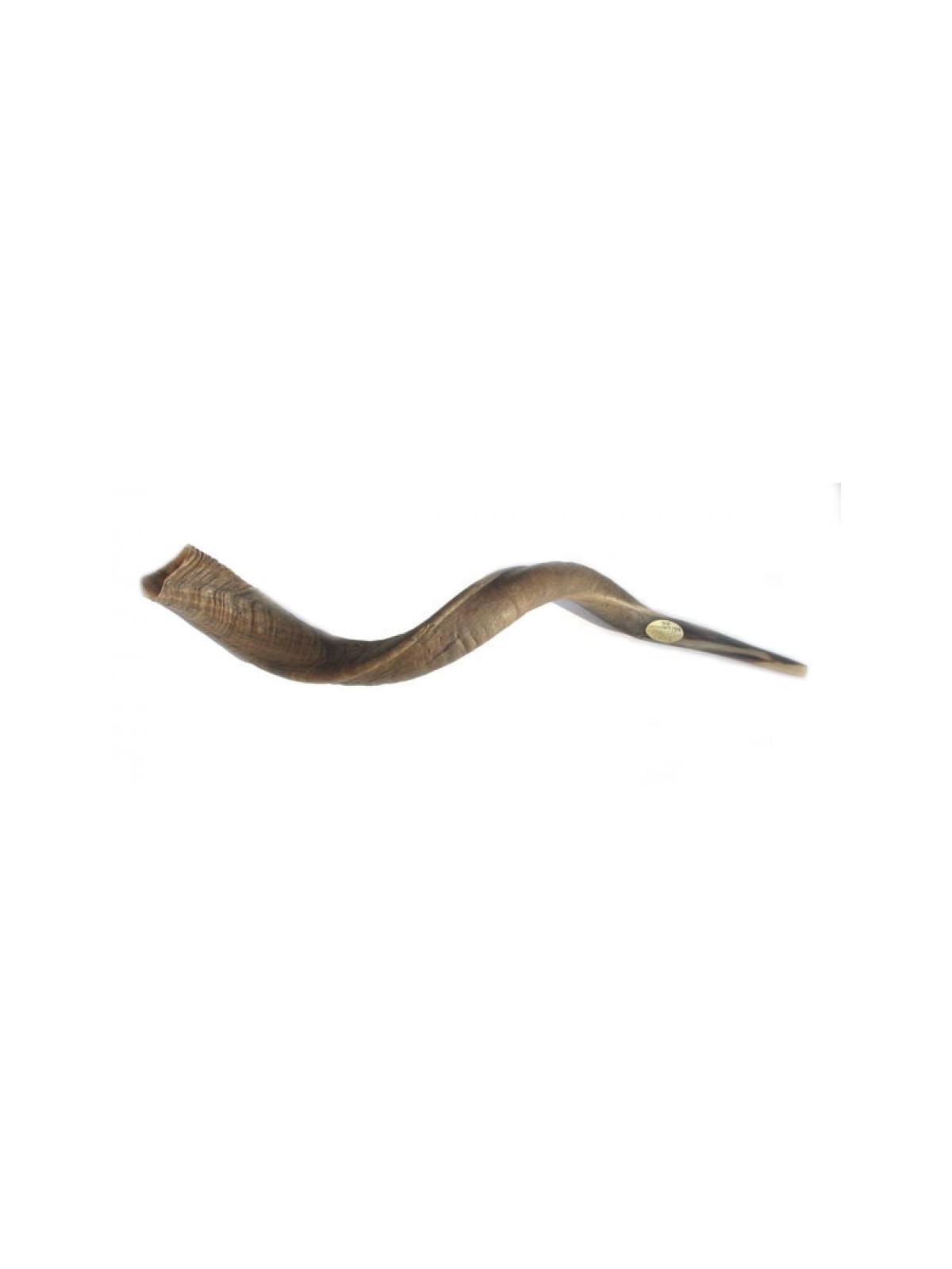 Grand Shofar naturel yéménite | Shofars yéménites