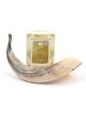 Anointing Shofar Made of a Natural Rams Horn Ga... | Rams Horn Shofars