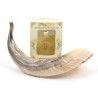 Anointing Shofar Made of a Natural Rams Horn Ga... | Rams Horn Shofars