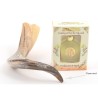 Anointing Shofar Made of a Natural Rams Horn Ga... | Rams Horn Shofars