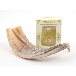 Anointing Shofar Made of a Natural Rams Horn Ga... | Rams Horn Shofars