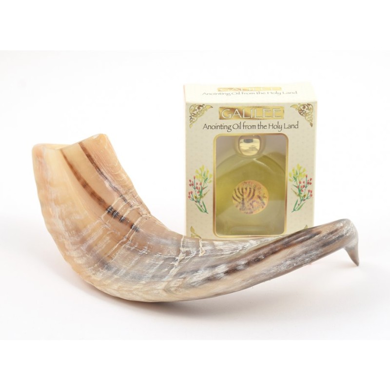 Anointing Shofar Made of a Natural Rams Horn Ga... | Rams Horn Shofars