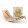 Anointing Shofar Made of a Natural Rams Horn Ga... | Rams Horn Shofars