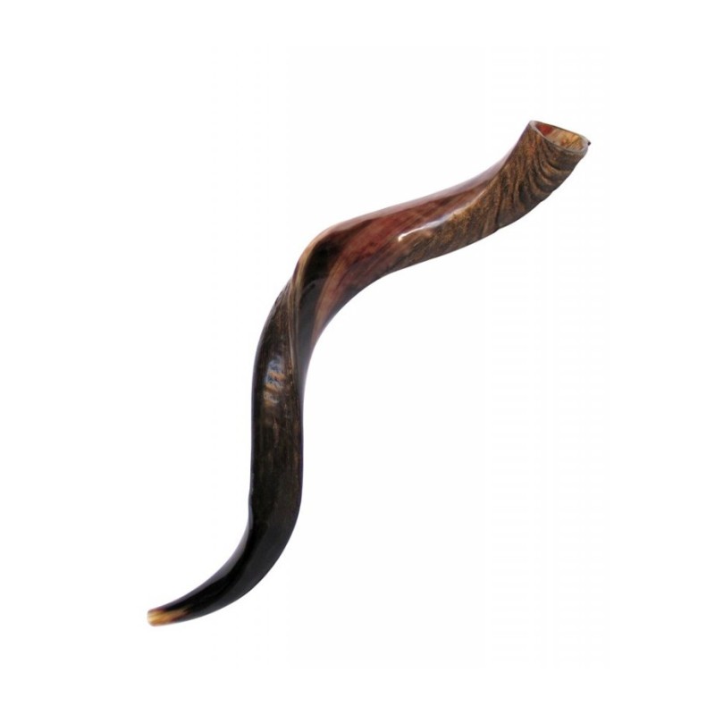 Medium Yemenite Kudu Shofar Half Polished Half N... | Yemenite Shofars