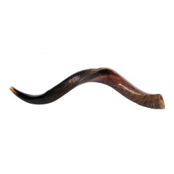 Medium Yemenite Kudu Shofar Half Polished Half N... | Yemenite Shofars