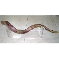 Extra Large Lucite Stand for Yemenite Shofars 40 52... | Shofar Stands
