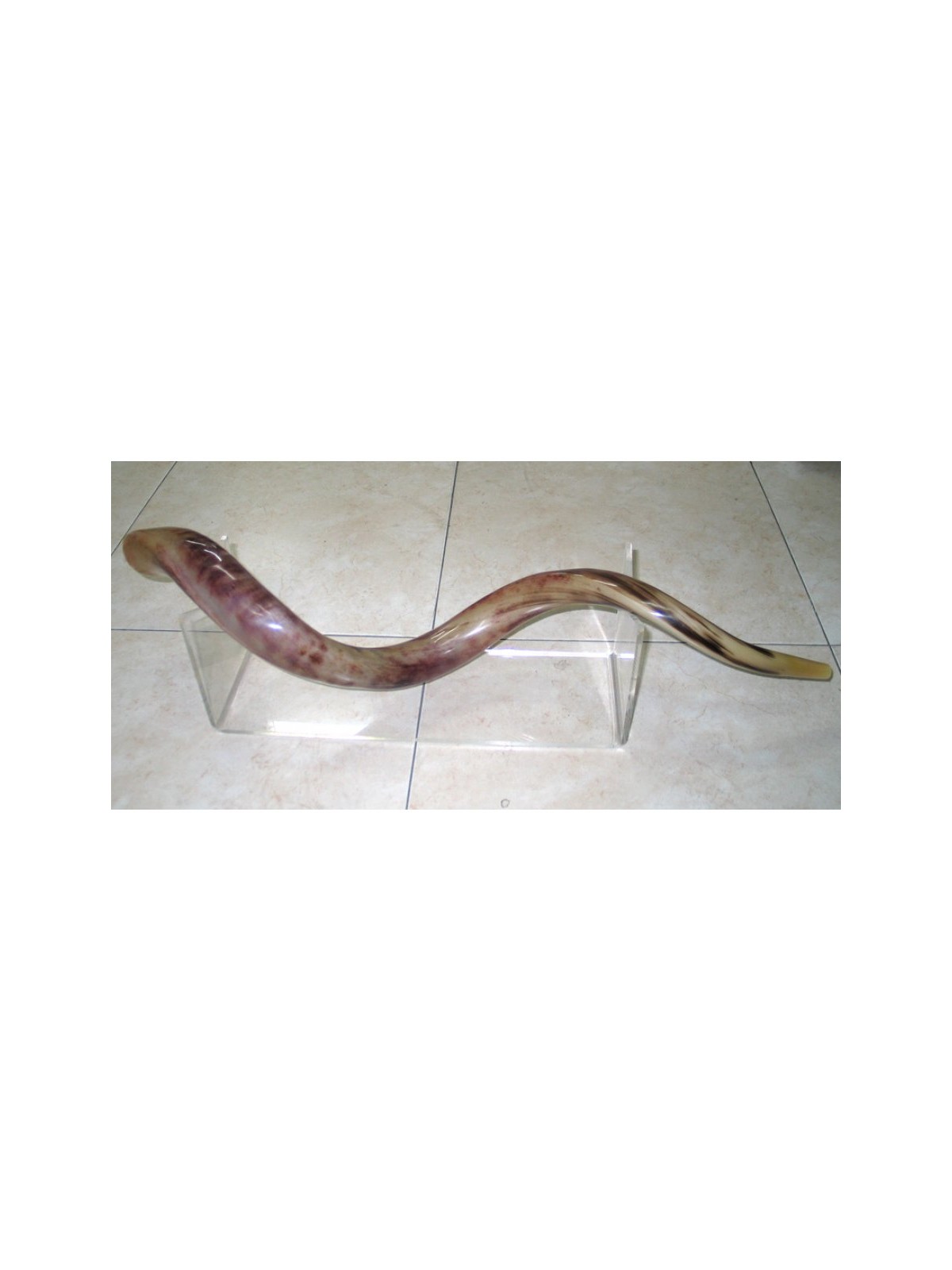 Extra Large Lucite Stand for Yemenite Shofars 40 52... | Shofar Stands