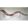 Extra Large Lucite Stand for Yemenite Shofars 40 52... | Shofar Stands
