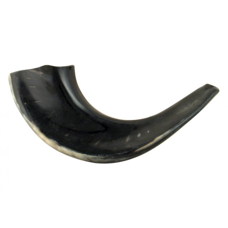Petit Shofar en corne de bélier noir poli | Shofars en corne de bélier