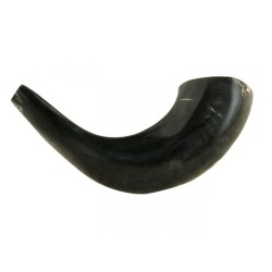 Small Polished Black Rams Horn Shofar | Rams Horn Shofars