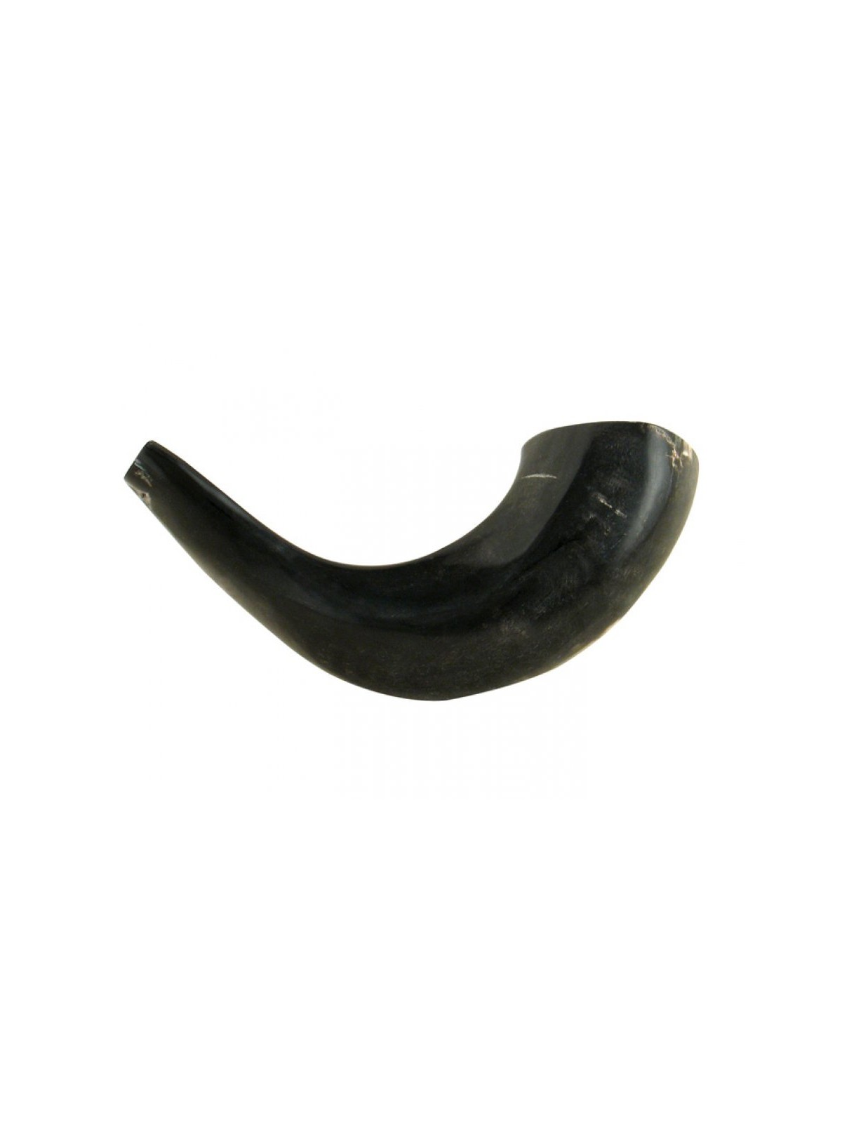 Petit Shofar en corne de bélier noir poli | Shofars en corne de bélier