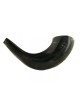 Petit Shofar en corne de bélier noir poli | Shofars en corne de bélier
