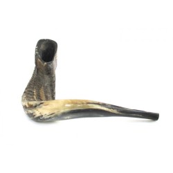 Extra Large Rams Horn Shofar with Dark Shades N... | Rams Horn Shofars
