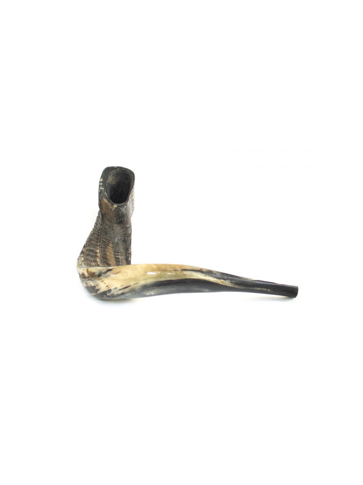 Extra Large Rams Horn Shofar with Dark Shades N... | Rams Horn Shofars