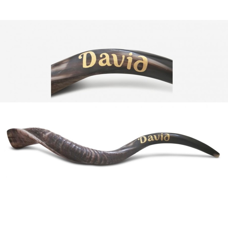 Personalized Shofar Yemenite Kudu Horn Inscribed... | Yemenite Shofars