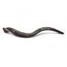 Personalized Shofar Yemenite Kudu Horn Inscribed... | Yemenite Shofars