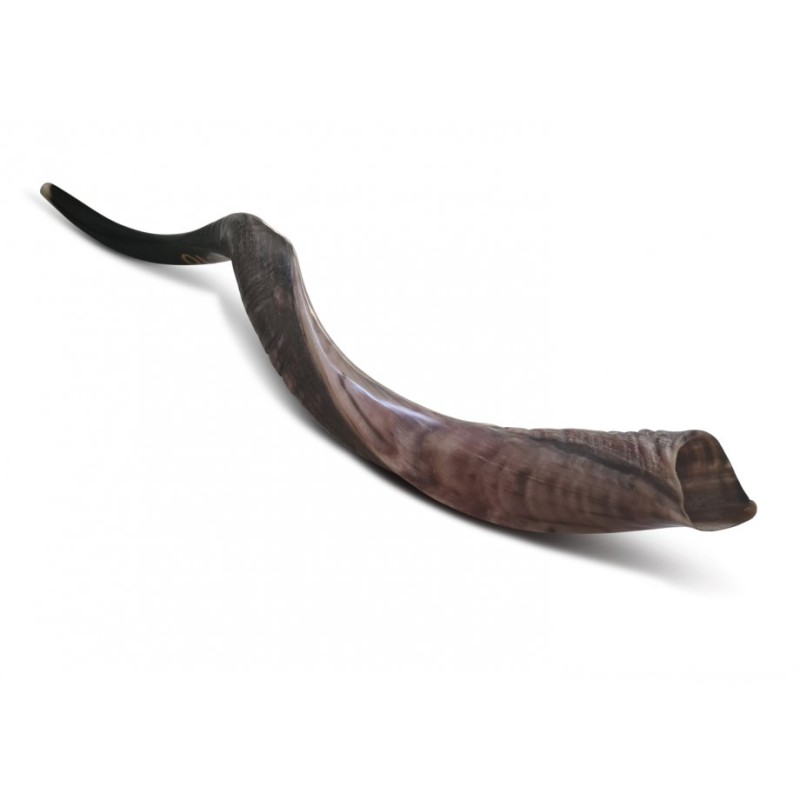 Personalized Shofar Yemenite Kudu Horn Inscribed... | Yemenite Shofars