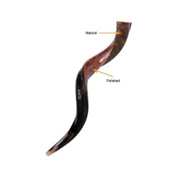 Personalized Shofar Yemenite Kudu Horn Inscribed... | Yemenite Shofars
