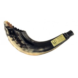 Rams Horn Shofar Moroccan Style Dark Color with... | Rams Horn Shofars
