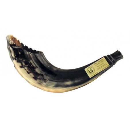 Rams Horn Shofar Moroccan Style Dark Color with... | Rams Horn Shofars