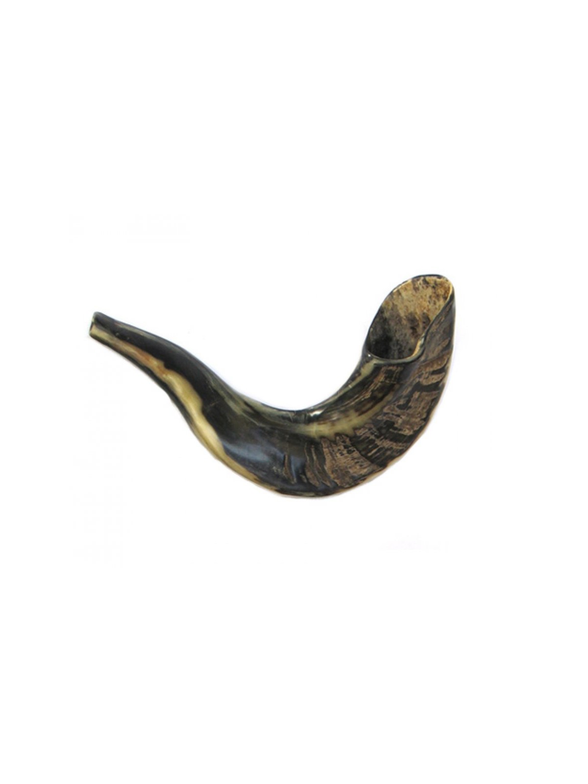 Petit Shofar en corne de bélier pour enfants Couleurs foncées | Shofars en corne de bélier