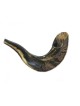 Rams Small Horn שופר לילדים צבעים כהים | ראמס הורן שופרס