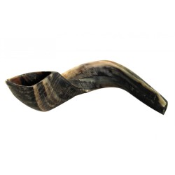 Large Black Rams Horn Shofar Natural | Rams Horn Shofars