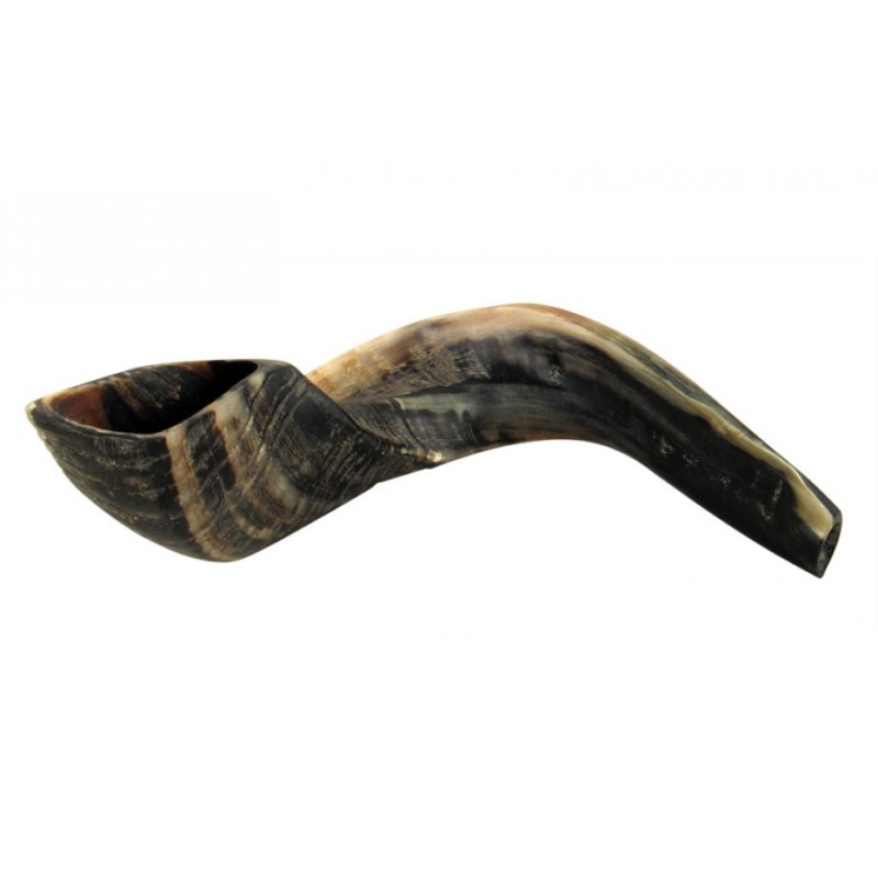 Large Black Rams Horn Shofar Natural | Rams Horn Shofars