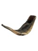 Grand Shofar en corne de bélier noir naturel | Shofars en corne de bélier