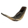 Large Black Rams Horn Shofar Natural | Rams Horn Shofars