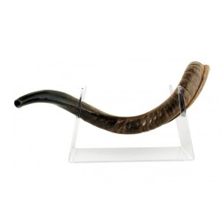 Lucite Stand Fits Yemenite Shofar 22 40 Inches Length | Shofar Stands