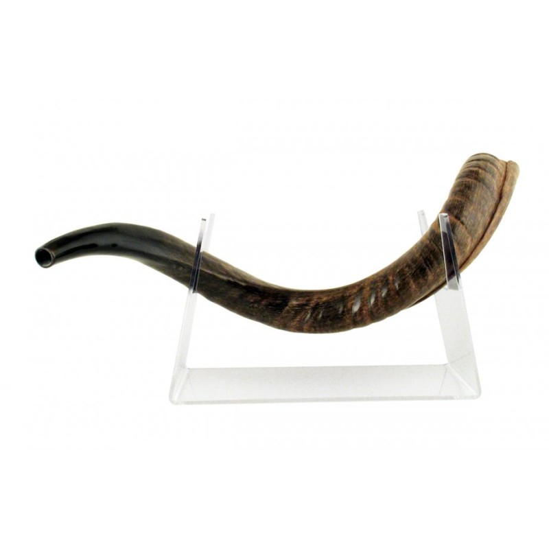 Lucite Stand Fits Yemenite Shofar 22 40 Inches Length | Shofar Stands