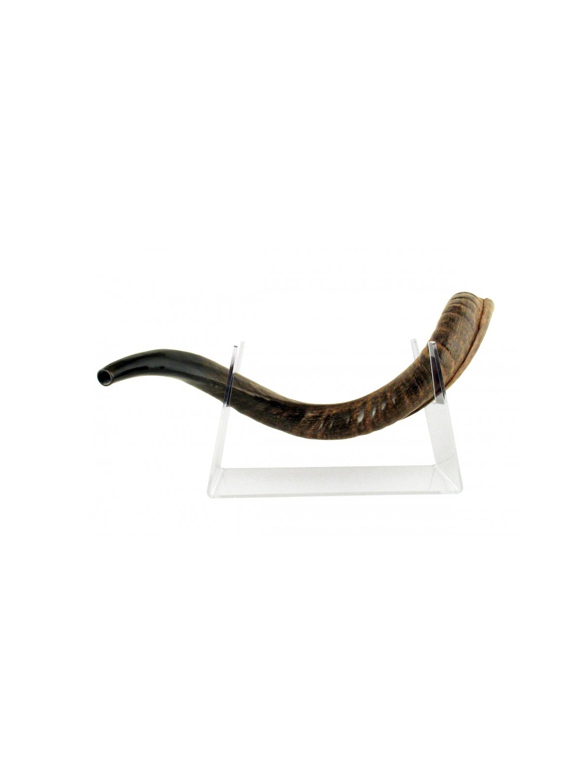 Lucite Stand Fits Yemenite Shofar 22 40 Inches Length | Shofar Stands