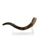 Lucite Stand Fits Yemenite Shofar 22 40 Inches Length | Shofar Stands