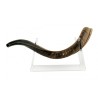 Lucite Stand Fits Yemenite Shofar 22 40 Inches Length | Shofar Stands
