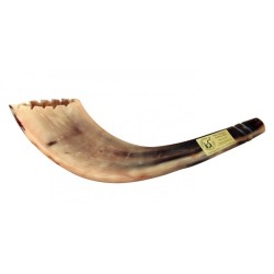 Rams Horn שופר סגנון מרוקאי צבע בהיר עם... | ראמס הורן שופרס