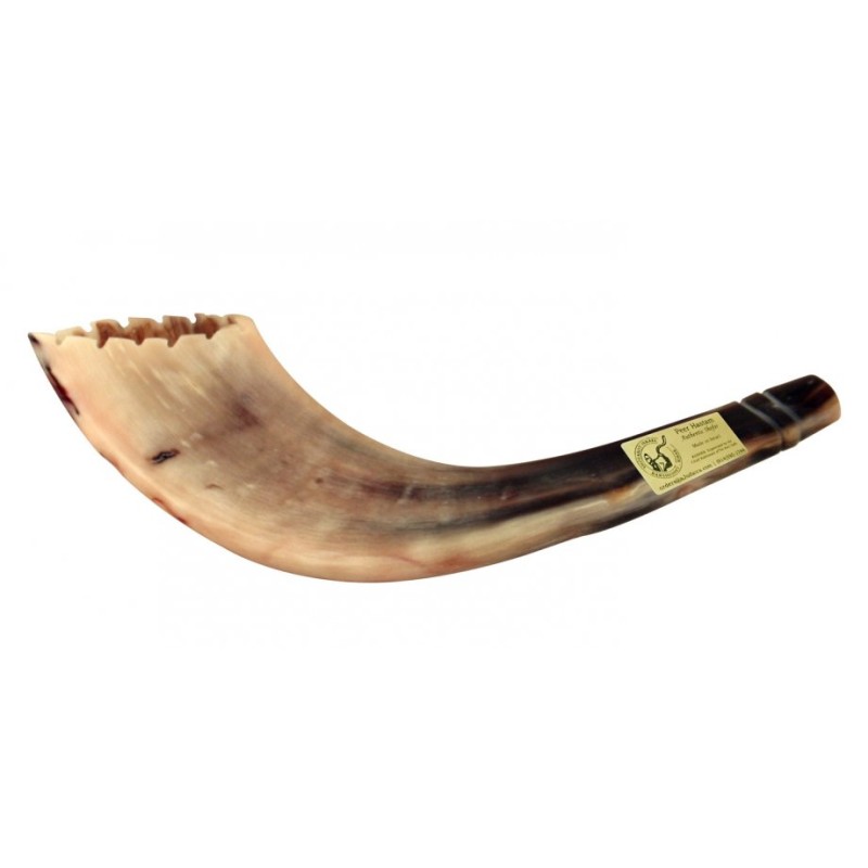 Rams Horn Shofar Moroccan Style Light Color wit... | Rams Horn Shofars