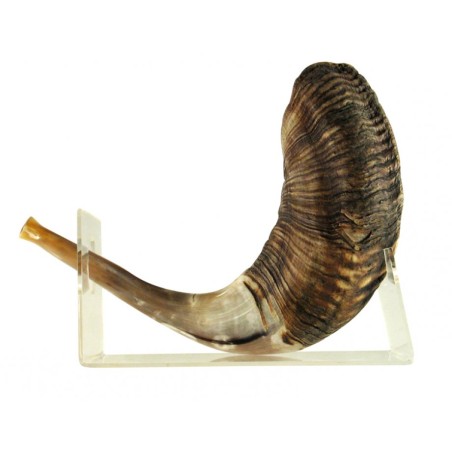 Support de Shofar en Lucite en corne de bélier pour grand Shofar 18 2... | Supports de Shofar