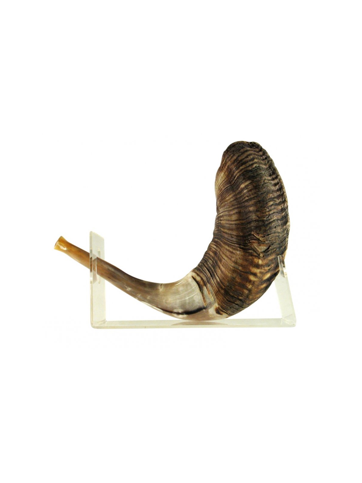 Support de Shofar en Lucite en corne de bélier pour grand Shofar 18 2... | Supports de Shofar