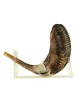 Support de Shofar en Lucite en corne de bélier pour grand Shofar 18 2... | Supports de Shofar