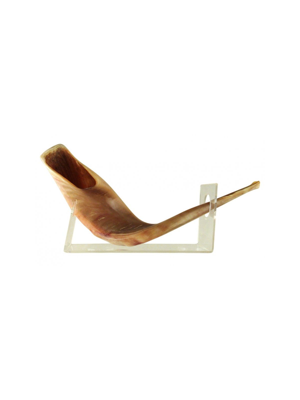 Rams Horn Lucite Shofar Stand for Large Shofar 18 2... | Shofar Stands