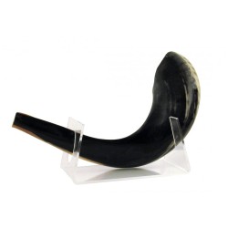 Support Lucite pour béliers moyens Shofar 11 18 pouces Le... | Supports de Shofar